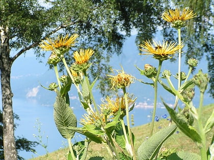 Giardino Botanico Alpinia