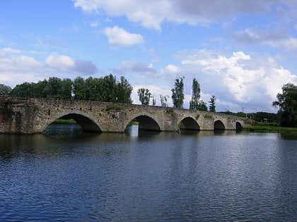 ponte buriano arezzo