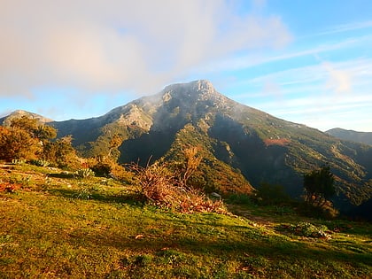 Góry Pelorytańskie