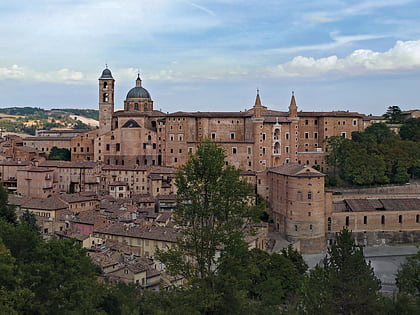 urbino