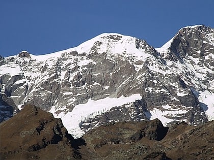 parrotspitze