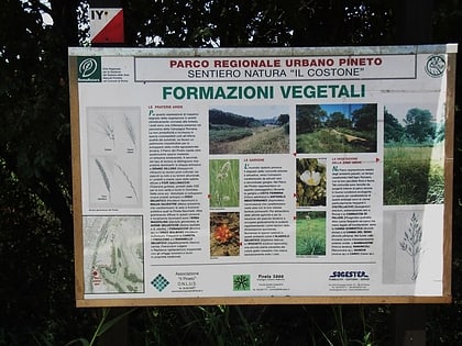 pineto regional park rome