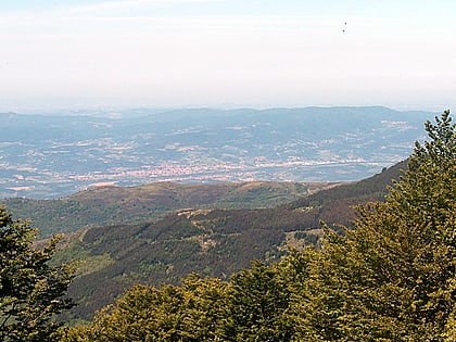 san giovanni valdarno