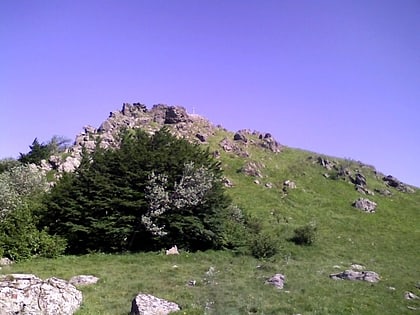 Monte Sciguello