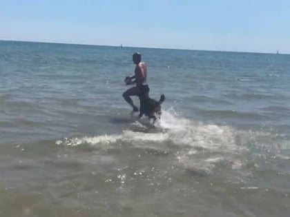 islamorada dog beach fano