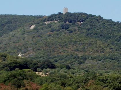 torre della bella marsilia maremma regional park