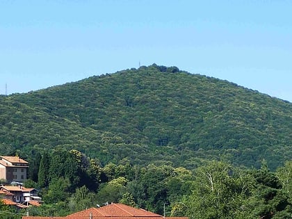Monte Rovella