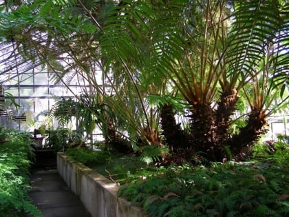 jardin botanico de la universidad de genova