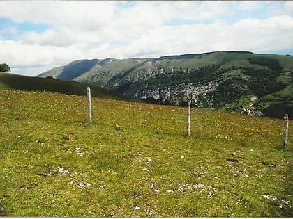 mont coscerno