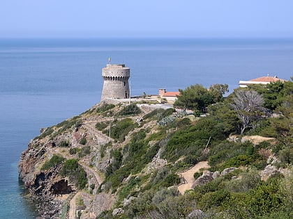 torre del porto capraia isola