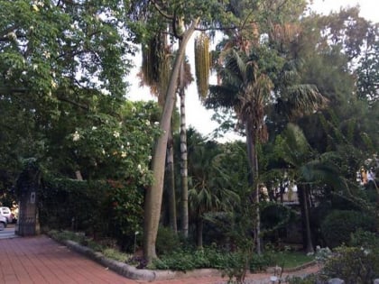 jardin botanico pietro castelli de la universidad de mesina