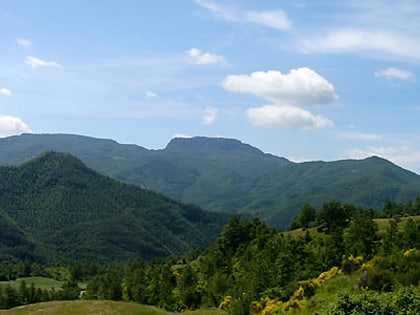 nationalpark foreste casentinesi