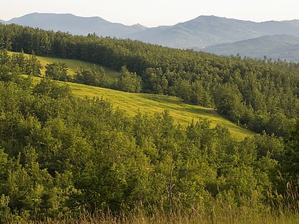 nature reserve of ghirardi