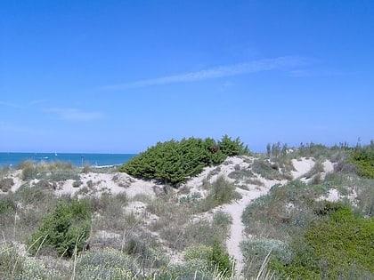 oasi dune di tirrenia