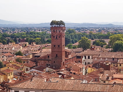 torre guinigi lucca