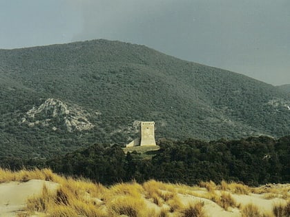 torre di collelungo parco regionale della maremma