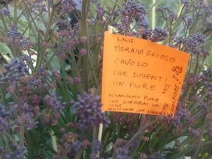 jardin botanico de bergamo lorenzo rota