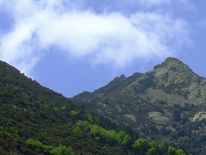 Monte Corto