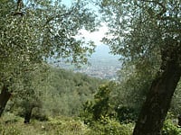 Parco Regionale dell'Olivo di Venafro