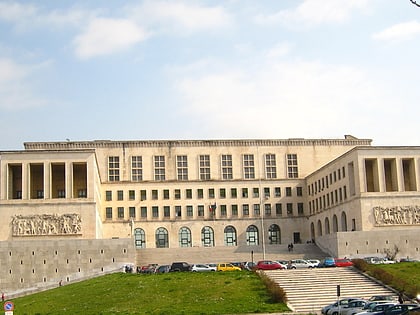 Université de Trieste