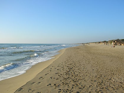 spiaggia libera di capocotta roma