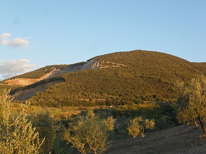 Monte Calvo