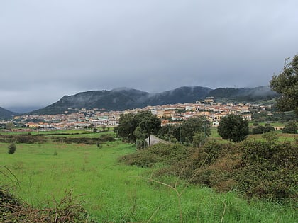 berchidda