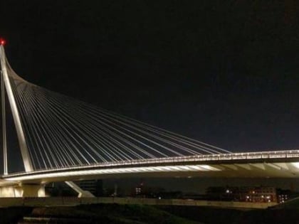 ponte calatrava cosenza