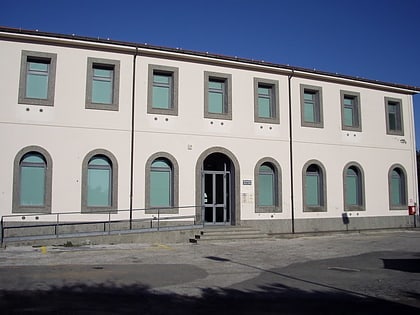 museo isidoro falchi castiglione della pescaia