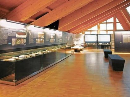 Museo Vittorino Cazzetta