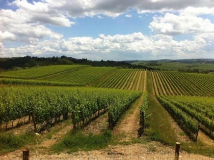 rocca delle macie wines castellina