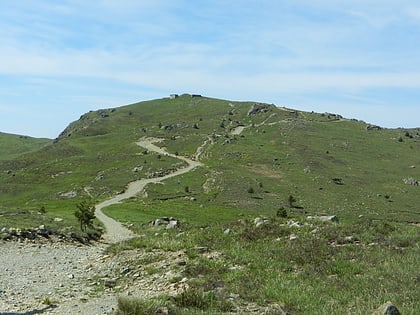 monte penello