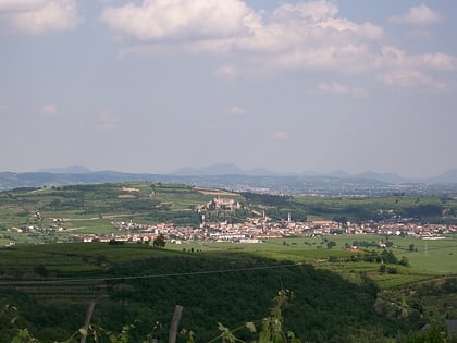 soave