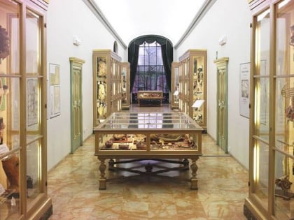 museo delle cere anatomiche luigi cattaneo bologna