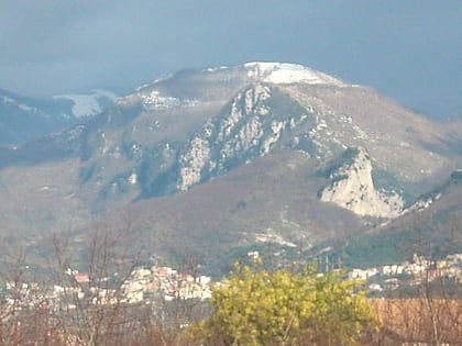 Monte Molaro