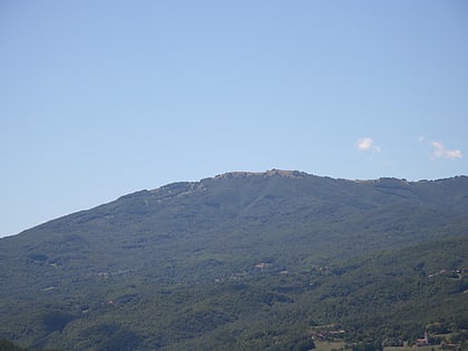 Monte Pelpi