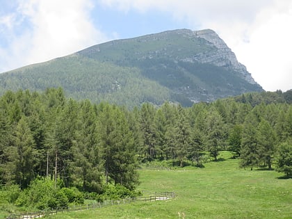 monte stivo