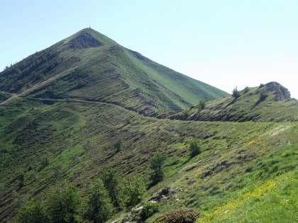 monte fronte