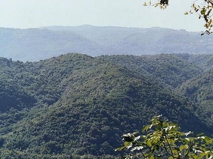 canolo park narodowy aspromonte