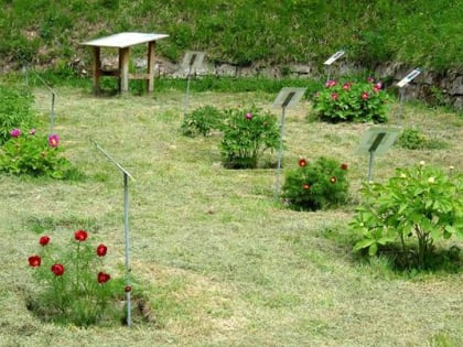 orto botanico dei frignoli fivizzano