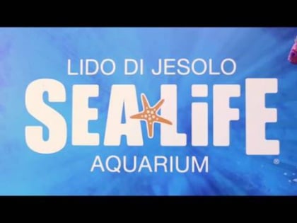 sea life jesolo