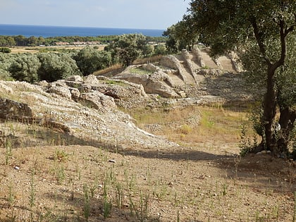 scolacium borgia