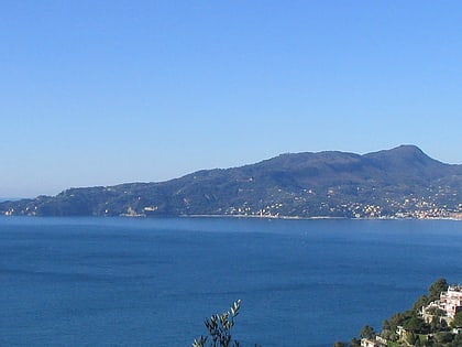 monte di portofino province of genoa