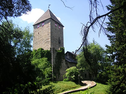 Burg Schöneck