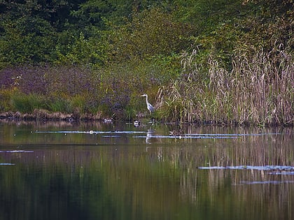 Lagoni di Mercurago Natural Park