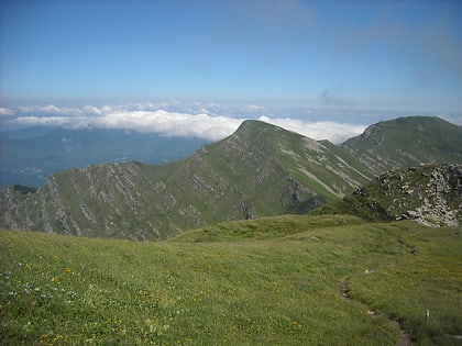 Monte Braiola