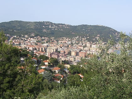 andora