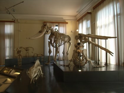 Musée municipal de Zoologie
