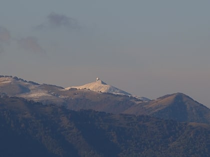 Mont Lesima