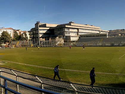 Stadio Alfredo Viviani